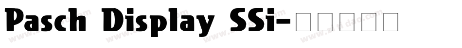 Pasch Display SSi字体转换